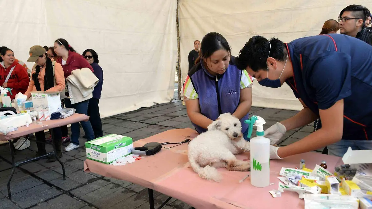 esterilización 2